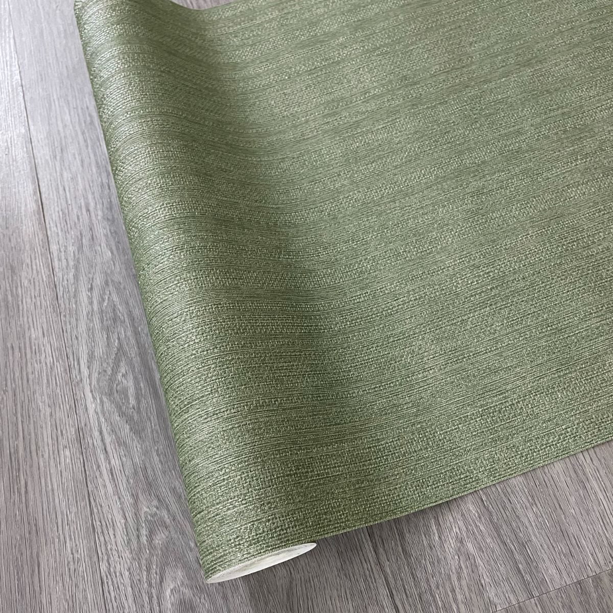 OMBRE OB1006-6