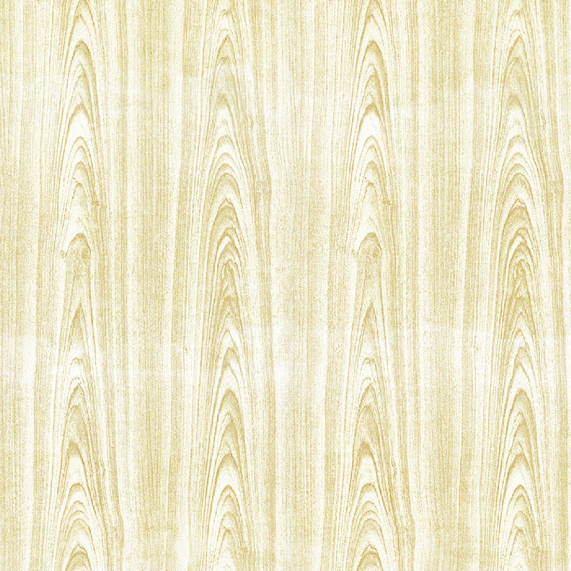 ROCK DV1280