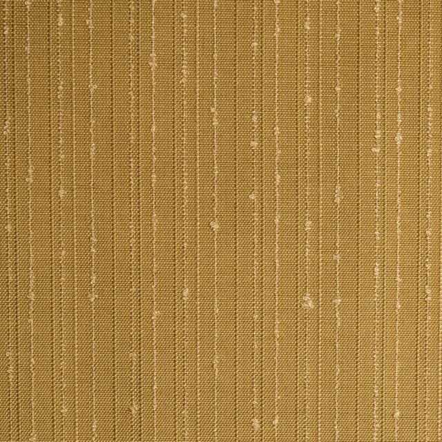 MORITZ-BASCOTTI SENZA 6220 COL: 8 TUMERIC
