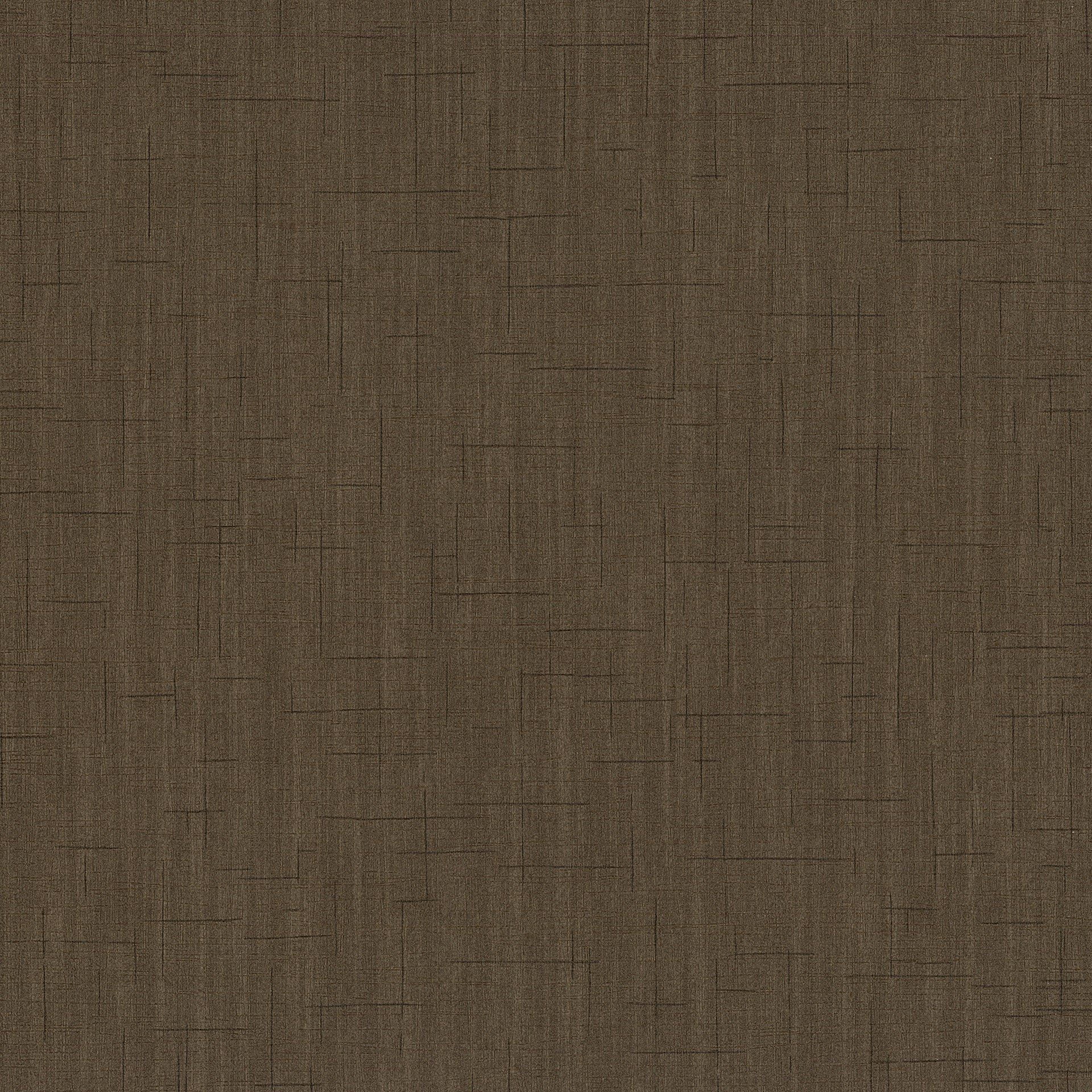 SPOTLIGHT 02460-50