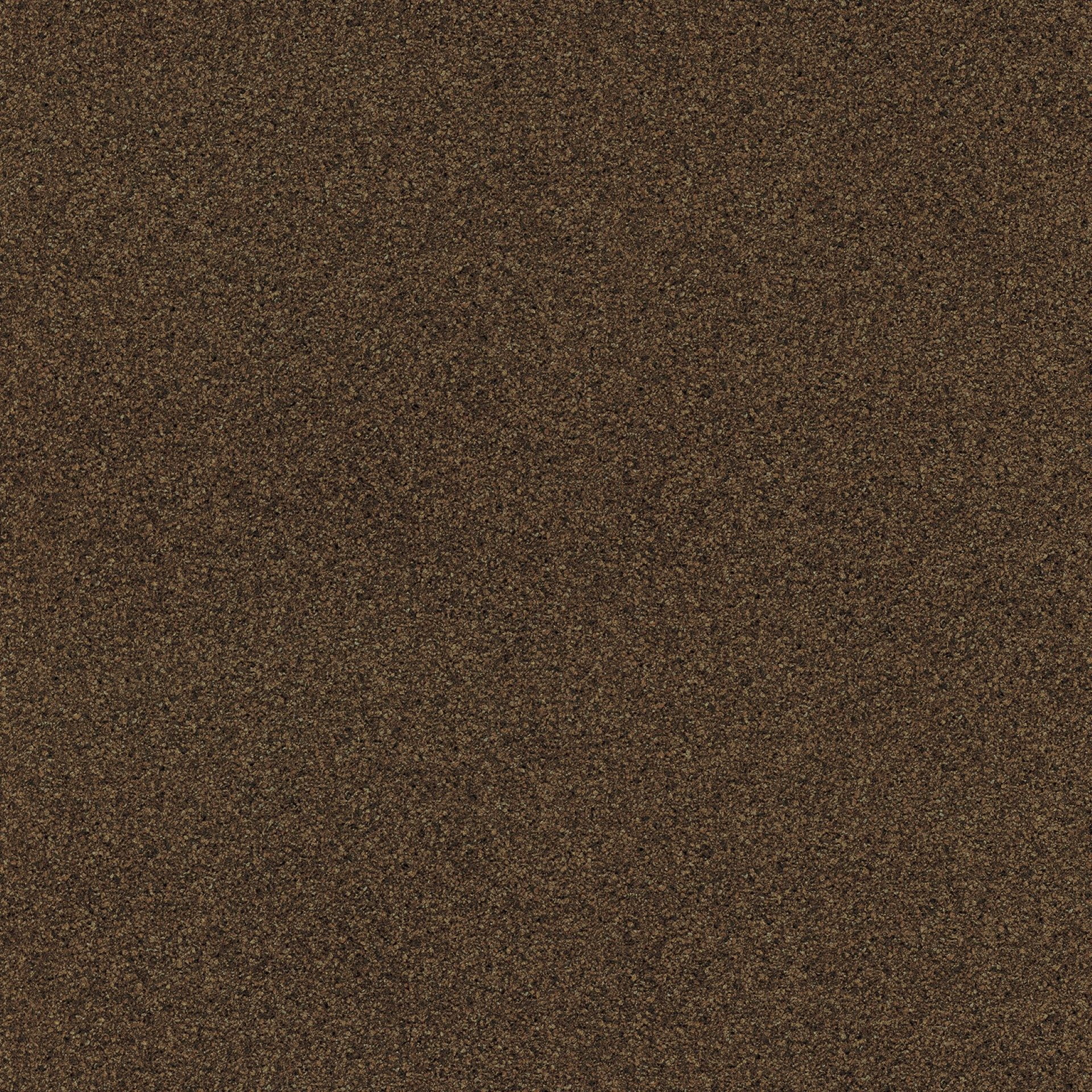 TERRA GRACIA 83115-4